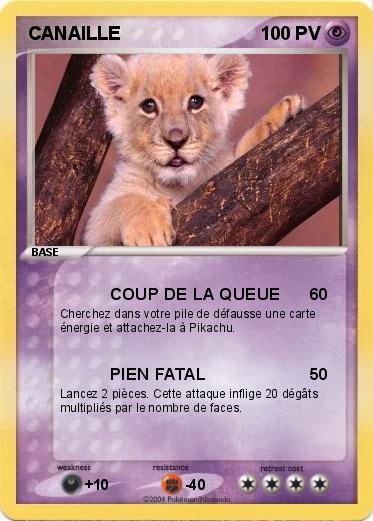 Pokemon CANAILLE
