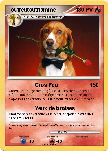 Pokemon Toutfeutoutflamme