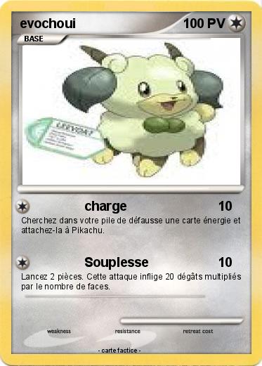 Pokemon evochoui