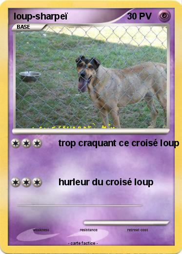 Pokemon loup-sharpeï