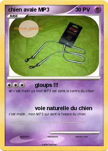 Pokemon chien avale MP3
