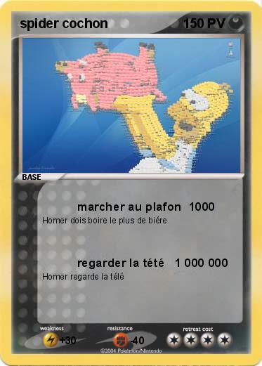 Pokemon spider cochon