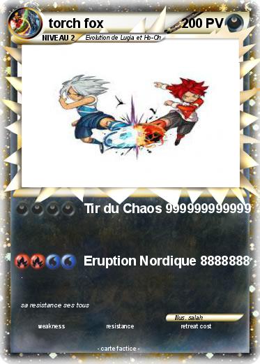 Pokemon torch fox