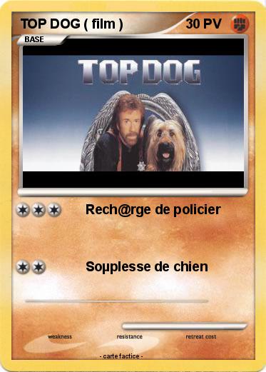 Pokemon TOP DOG ( film )
