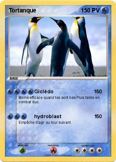 Pokemon Tortanque 