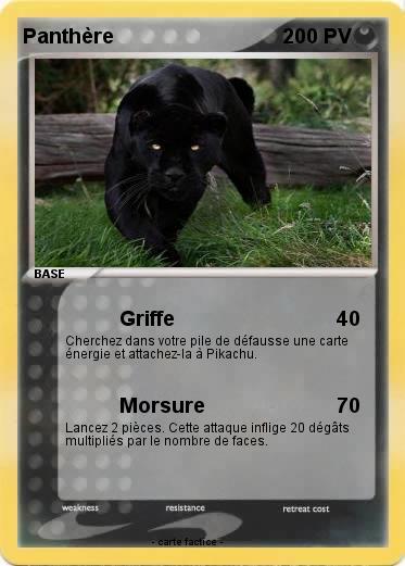 Pokemon Panthère