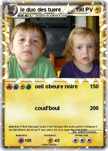 Pokemon le duo des tuere