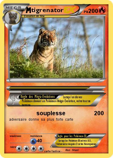 Pokemon tigrenator