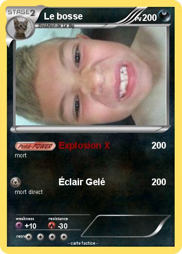 Pokemon Le bosse