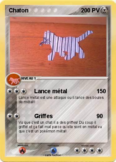 Pokemon Chaton
