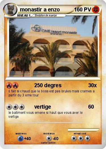 Pokemon monastir a enzo
