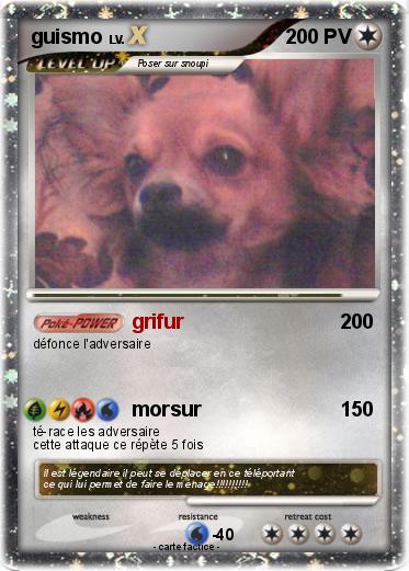 Pokemon guismo