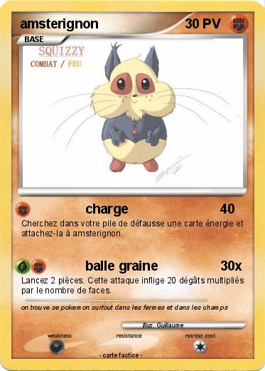 Pokemon amsterignon