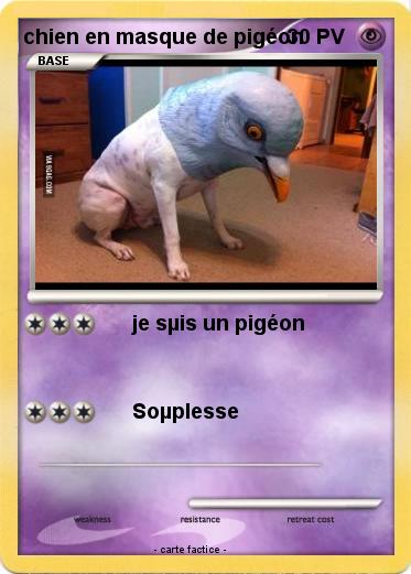 Pokemon chien en masque de pigéon