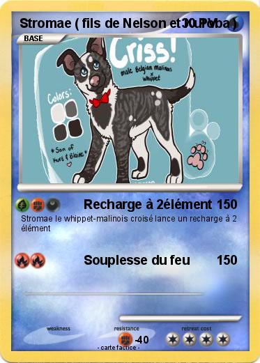 Pokemon Stromae ( fils de Nelson et Kuroba )