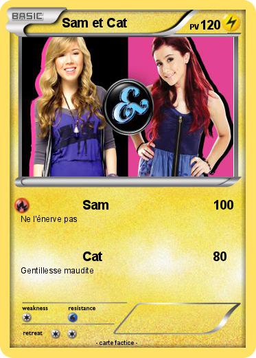 Pokemon Sam et Cat