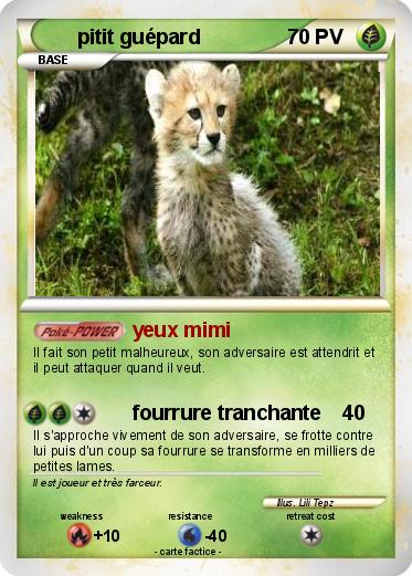Pokemon pitit guépard