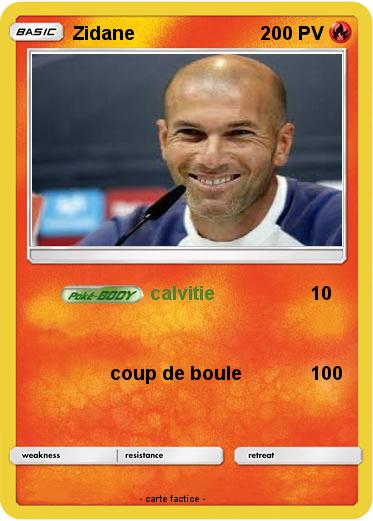 Pokemon Zidane