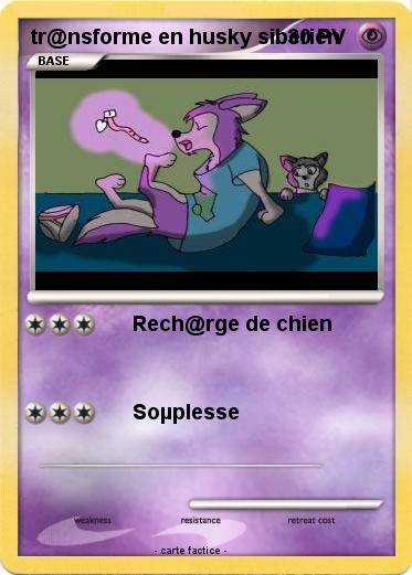 Pokemon tr@nsforme en husky siberien
