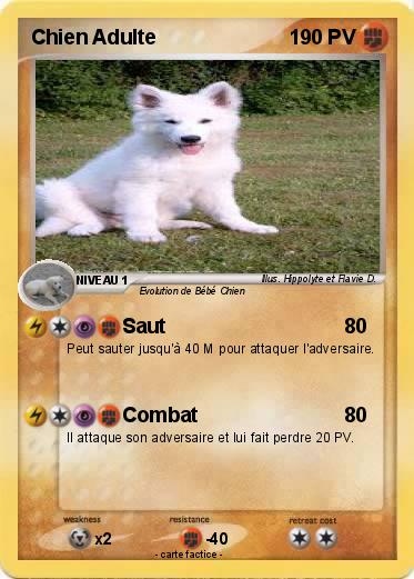 Pokemon Chien Adulte