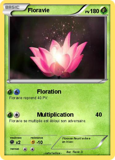 Pokemon Floravie