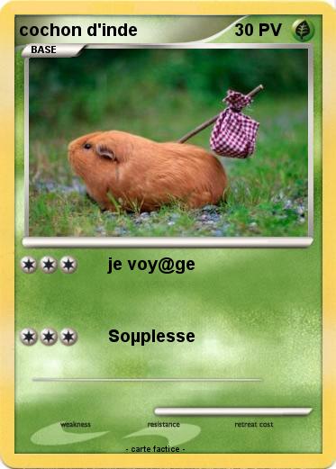 Pokemon cochon d'inde