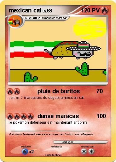 Pokemon mexican cat