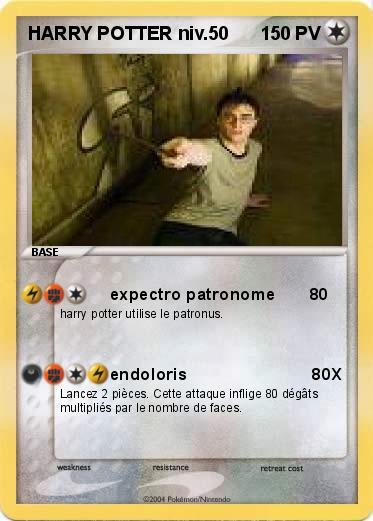 Pokemon HARRY POTTER niv.50