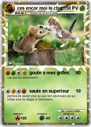 Pokemon ces encor moi le chat!