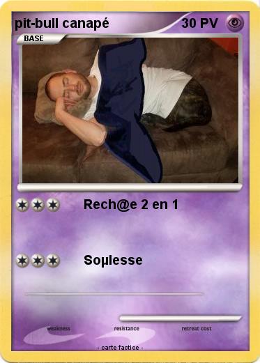 Pokemon pit-bull canapé