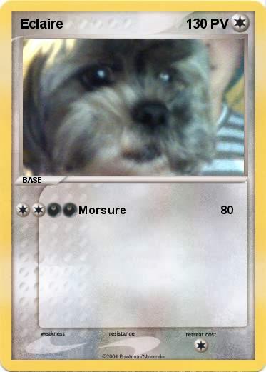 Pokemon Eclaire