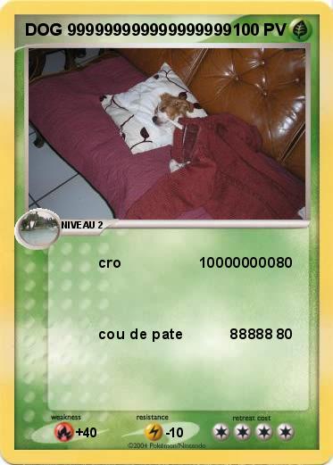 Pokemon DOG 999999999999999999