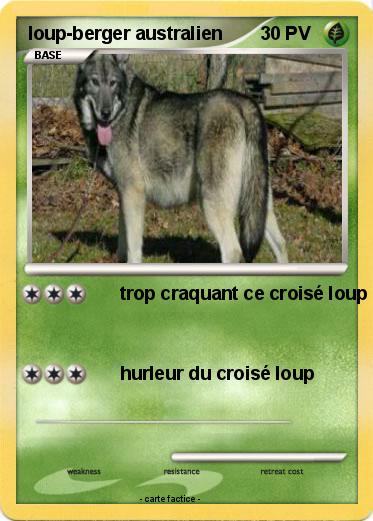 Pokemon loup-berger australien
