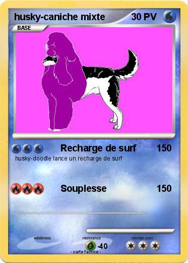 Pokemon husky-caniche mixte