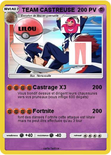Pokemon TEAM CASTREUSE