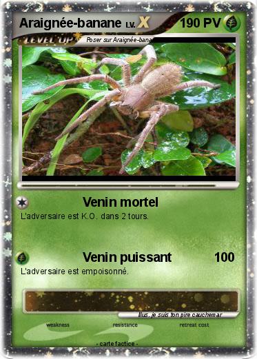 Pokemon Araignée-banane