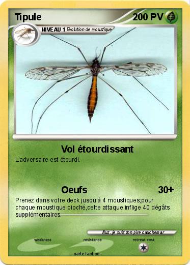 Pokemon Tipule