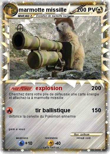 Pokemon marmotte missille