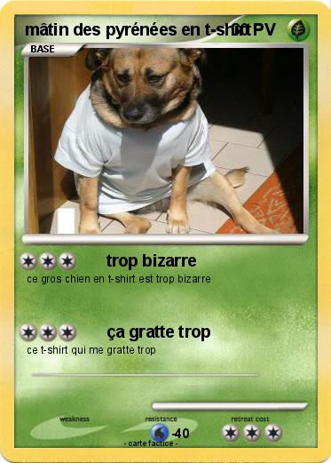 Pokemon mâtin des pyrénées en t-shirt