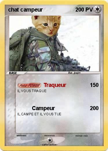 Pokemon chat campeur