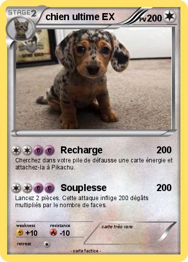 Pokemon Chien Ultime Ex