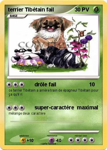 Pokemon terrier Tibétain fail