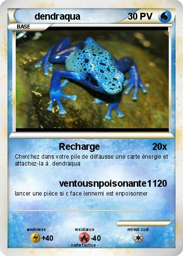 Pokemon dendraqua