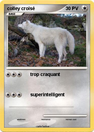 Pokemon colley croisé