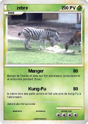 Pokemon zebre