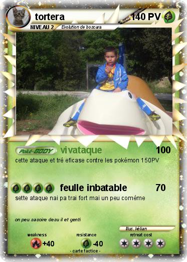 Pokemon tortera