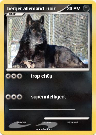 Pokemon berger allemand  noir