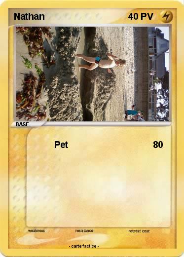 Pokemon Nathan