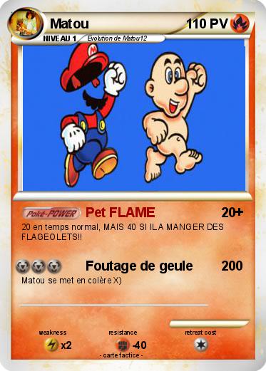 Pokemon Matou