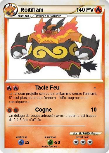 Pokemon Roitiflam